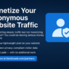 Make Money From Your Anonymous Website Traffic: Partner With SendLeads